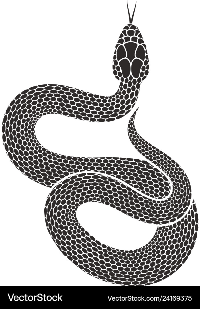 Snake Royalty Free Vector Image - VectorStock