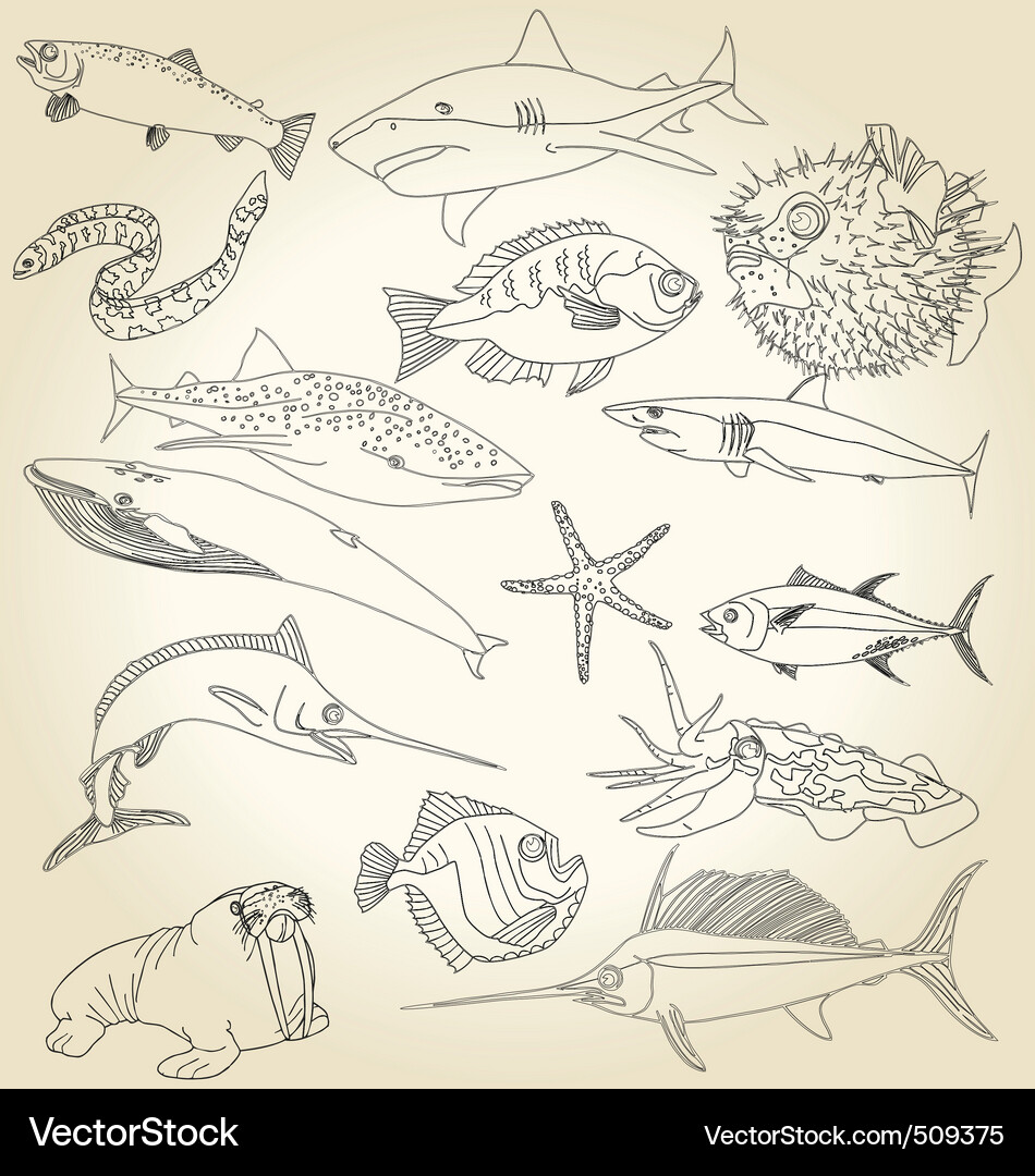 Underwater Marine Life Collection Vector Image