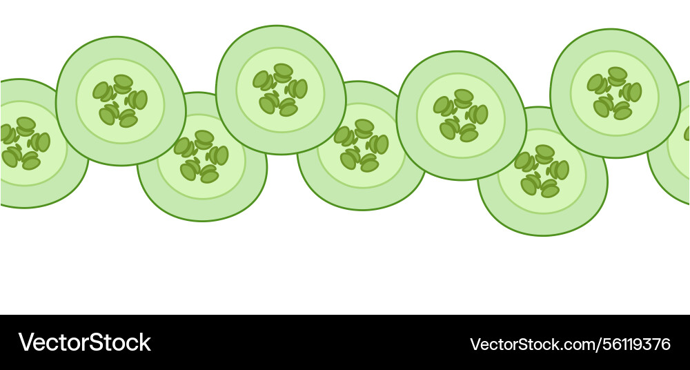 Cucumber slice horizontal seamless border flat Cucumber slice horizontal seamless border flat vector image