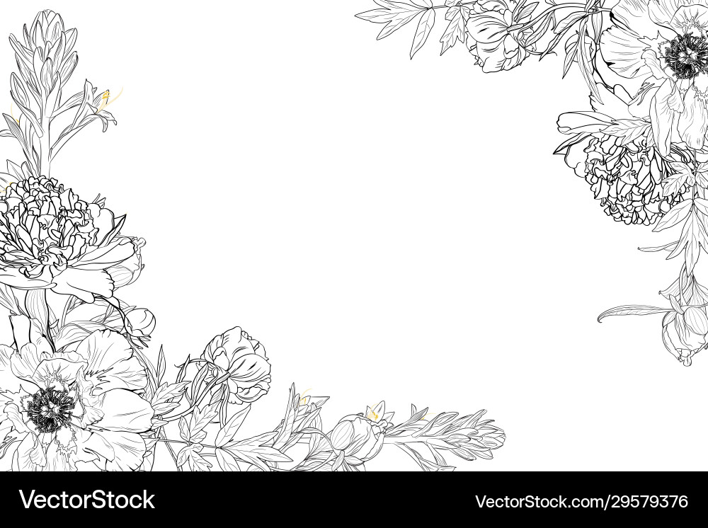 Elegant Floral Border Frame Vector Image