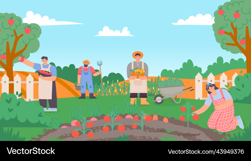 People working at garden or farm collect harvest vector image