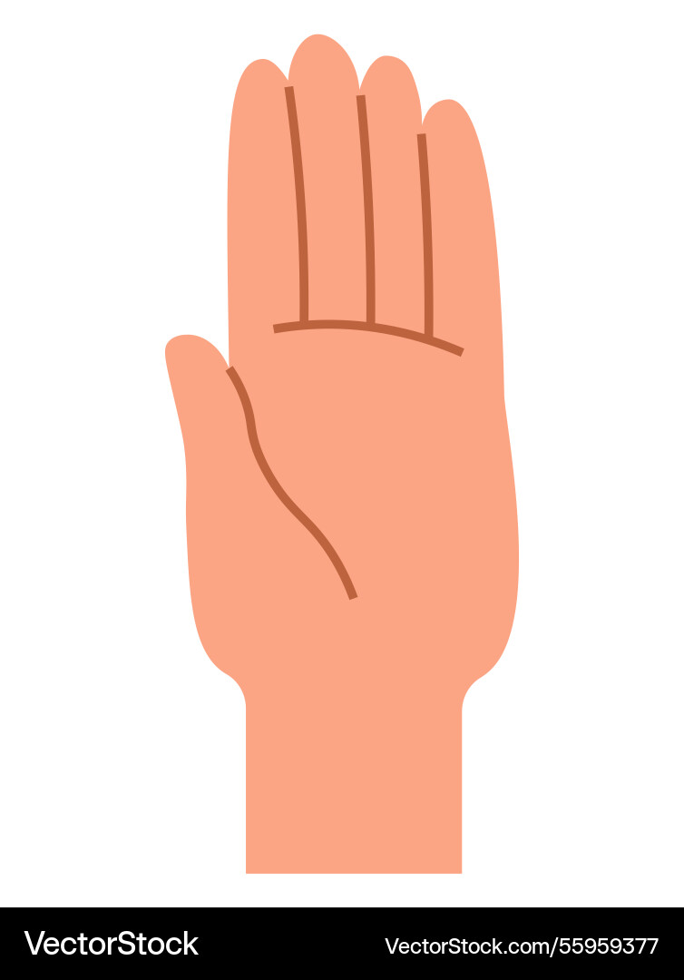 Open palm hand gesture with visible lines Open palm hand gesture with visible lines vector image