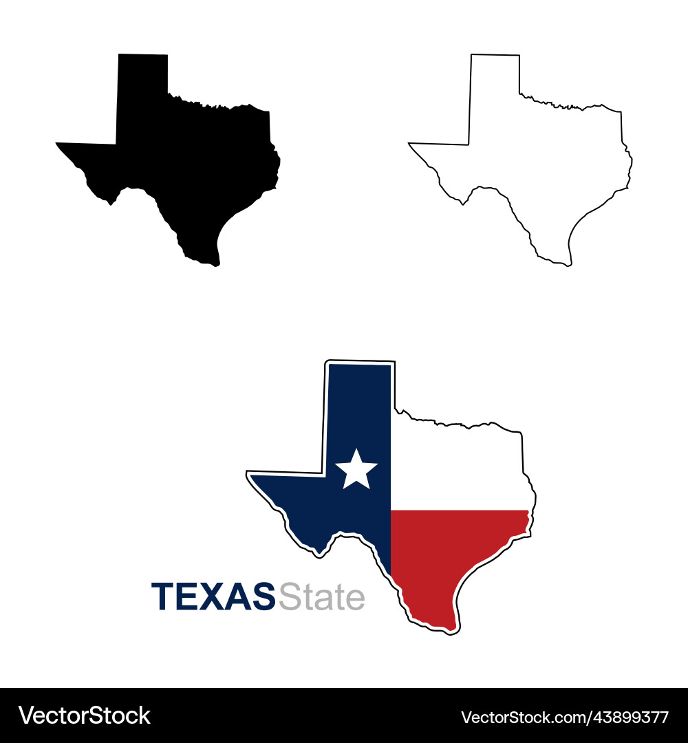 Texas Map with Flag Silhouette Vector Image