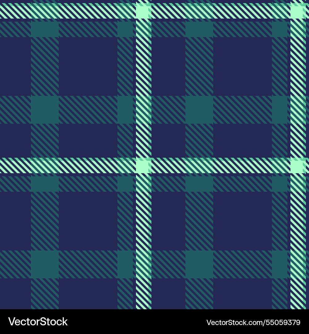 Classic plaid pattern with intersecting lines vector image