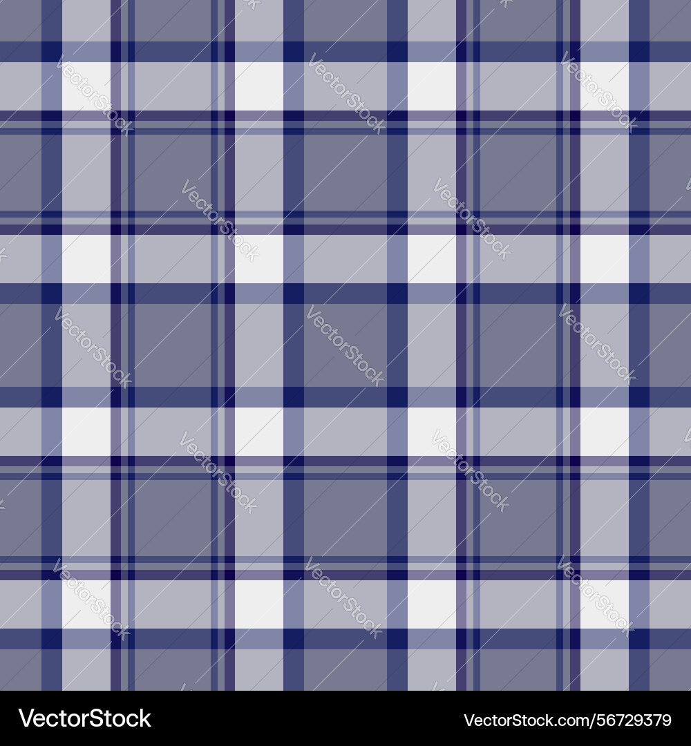 Classic plaid pattern with intersecting lines vector image