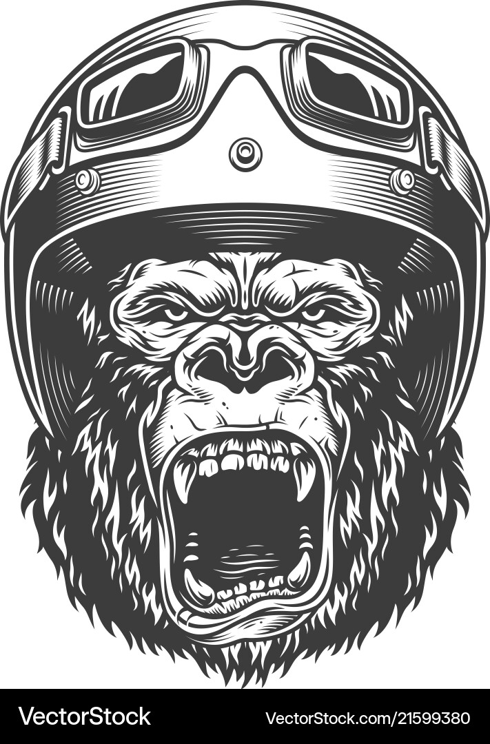 Angry gorilla in monochrome style vector image