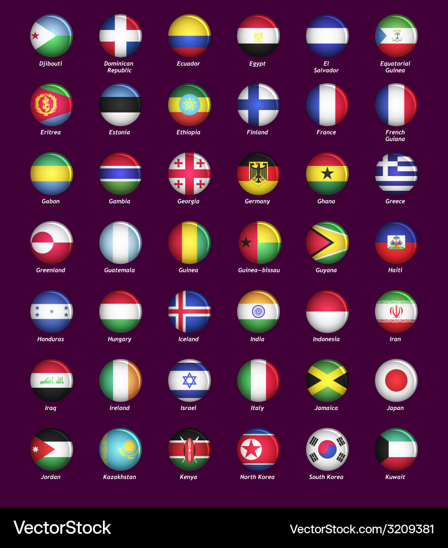 Flags and Buttons with Circular Icons vector image