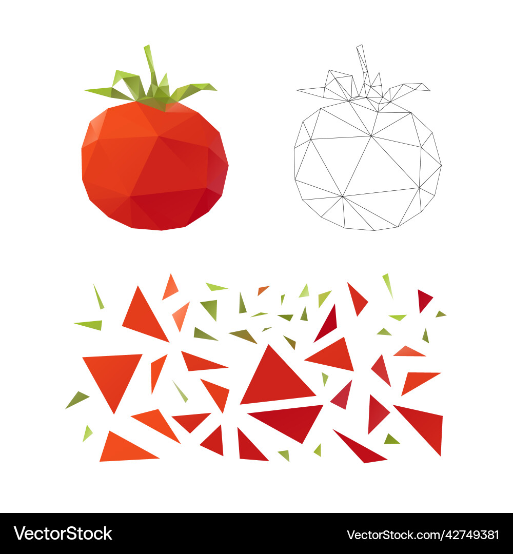 Polygonal puzzle game constructor from triangles Polygonal puzzle game constructor from triangles vector image