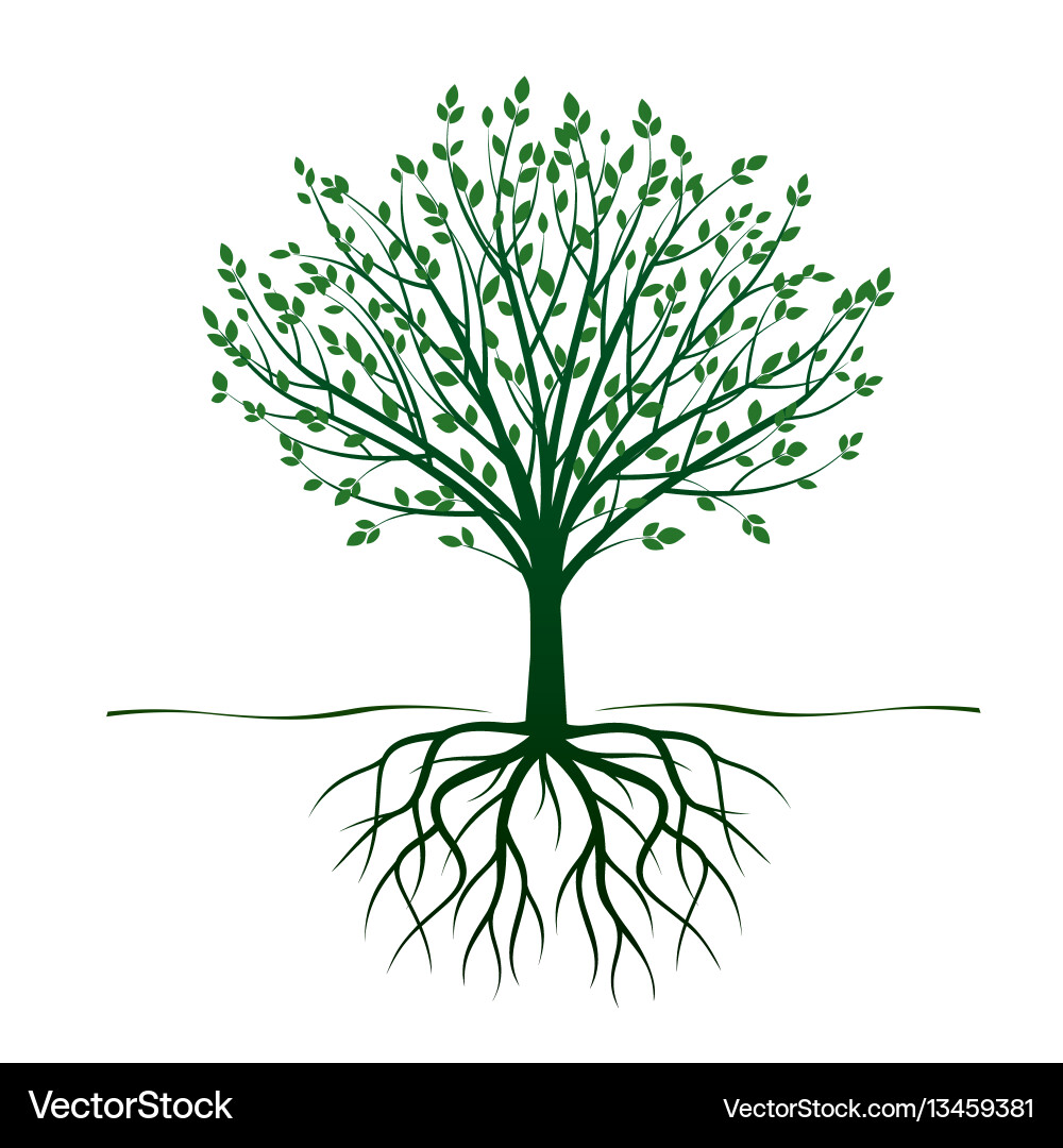 Stylized Tree with Roots vector image
