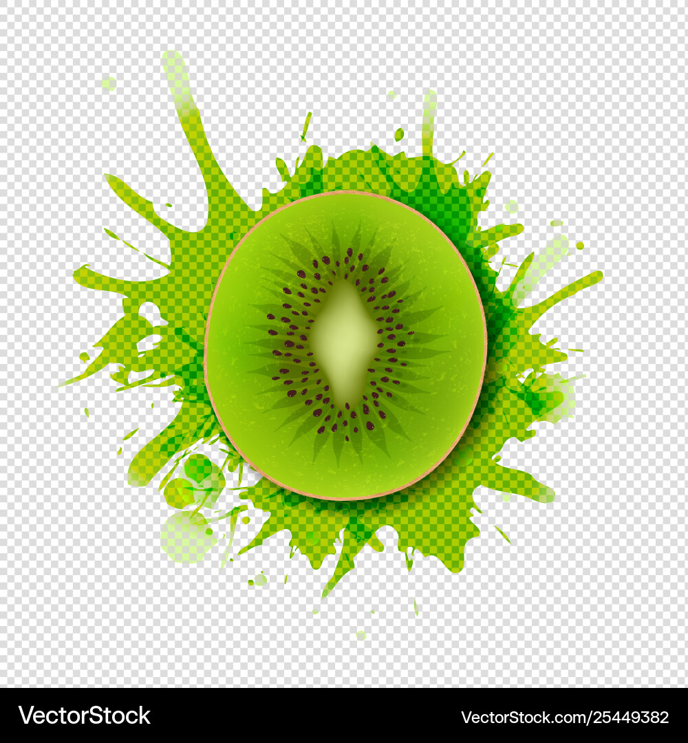 Kiwi fruits with paint transparent background vector image