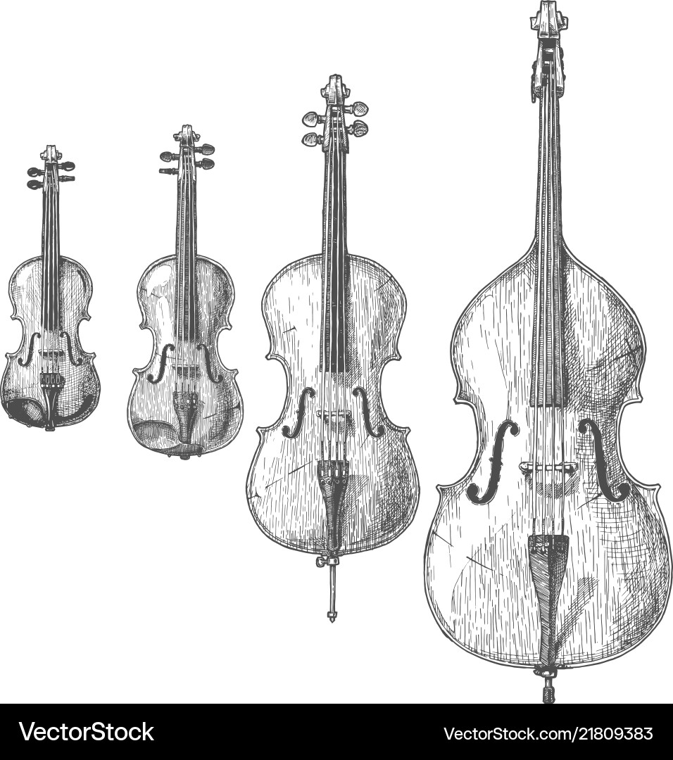 Bowed string instruments vector image