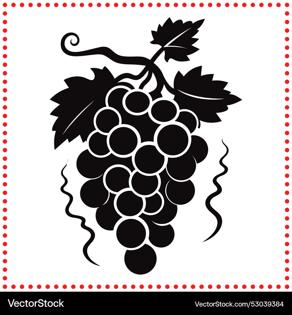 Grape bunch with leaves in a clean and simple Vector Image