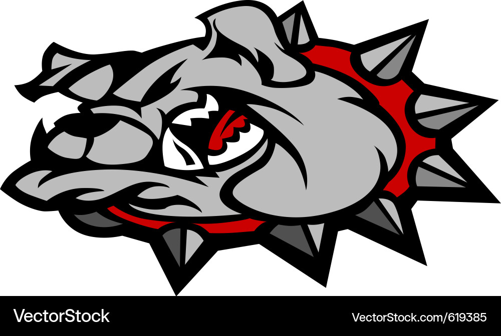 Bulldog Head Portrait Vector Image