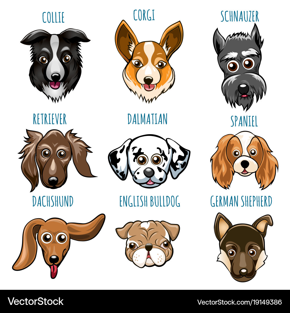 Various dog head set Royalty Free Vector Image