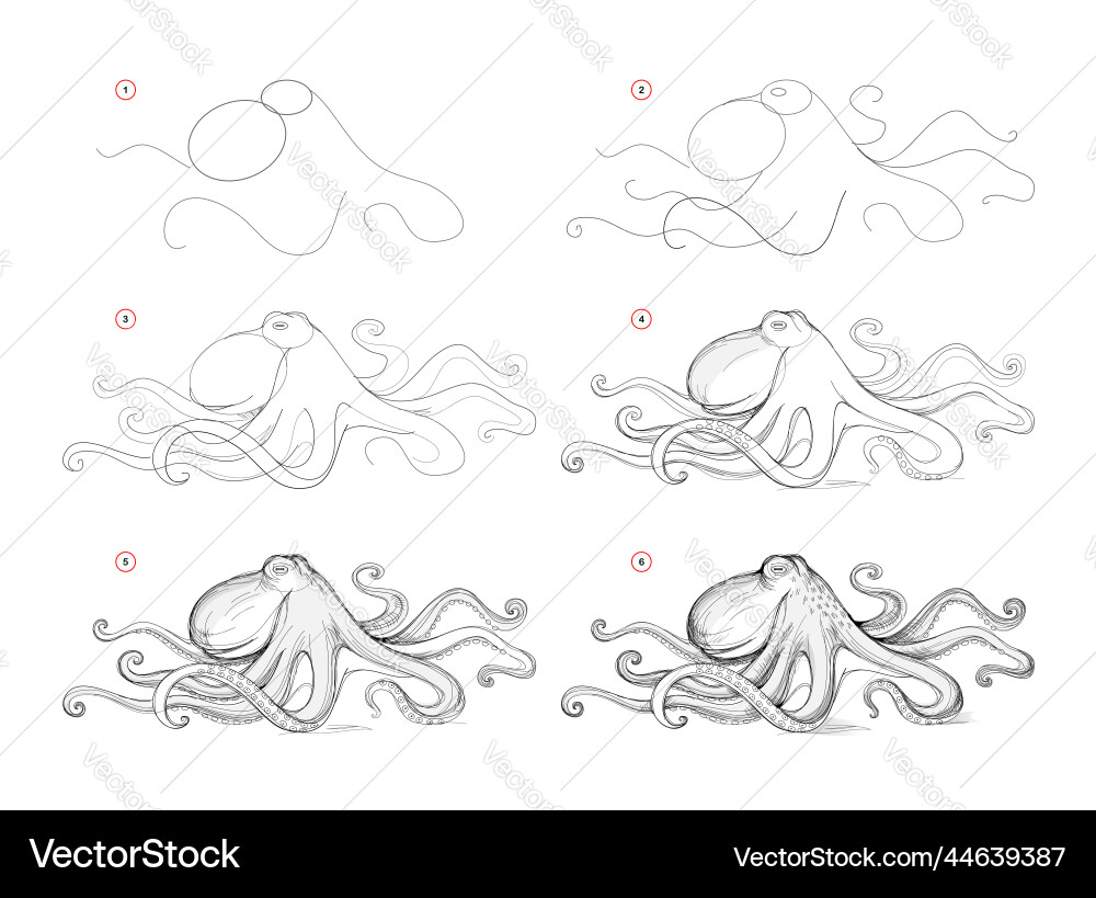 Seite zeigt wie man Zeichnung Skizze von Oktopus lernen Seite zeigt wie man Zeichnung Skizze von Oktopus lernen vektorbild