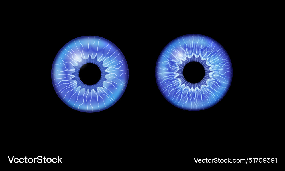 Iris poster Royalty Free Vector Image - VectorStock