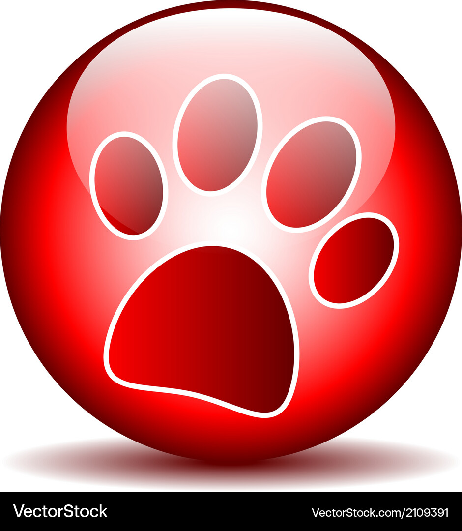 Paw button Vector Image