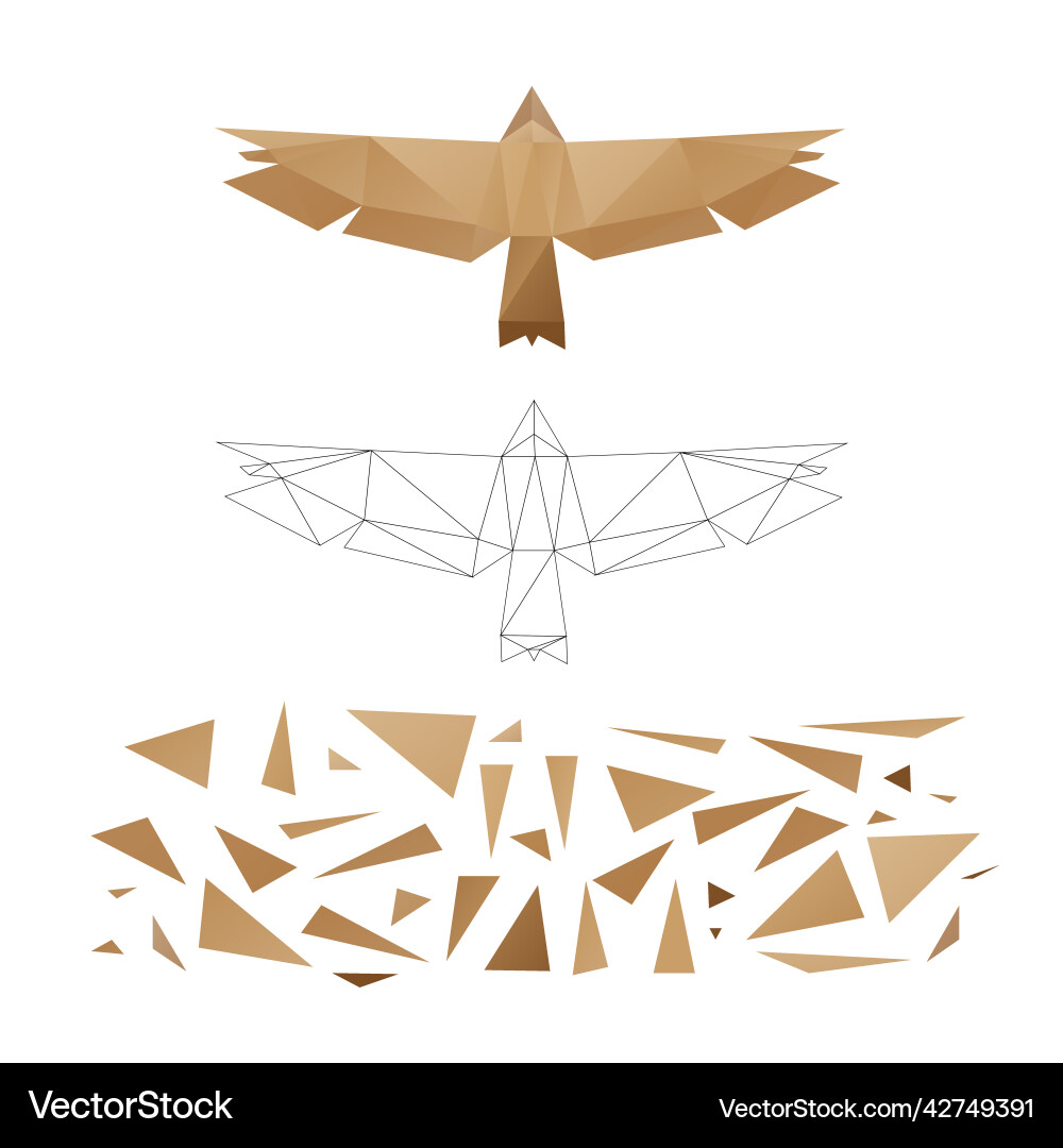 Polygonal puzzle game constructor from triangles Polygonal puzzle game constructor from triangles vector image