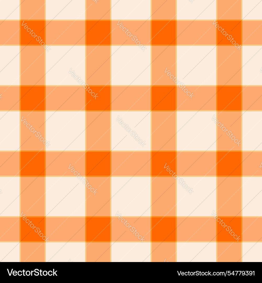 Poncho check background pattern product texture vector image