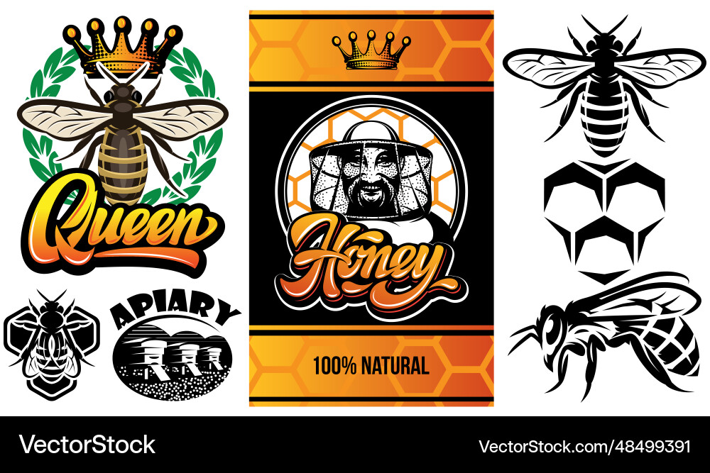 Set of different elements for design label vector image