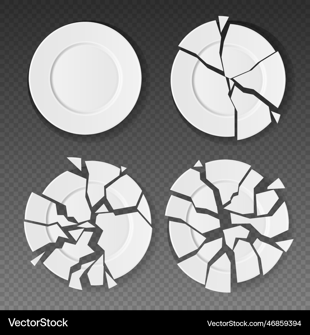 3d broken plate shattered utensil crack ceramic 3d broken plate shattered utensil crack ceramic vector image