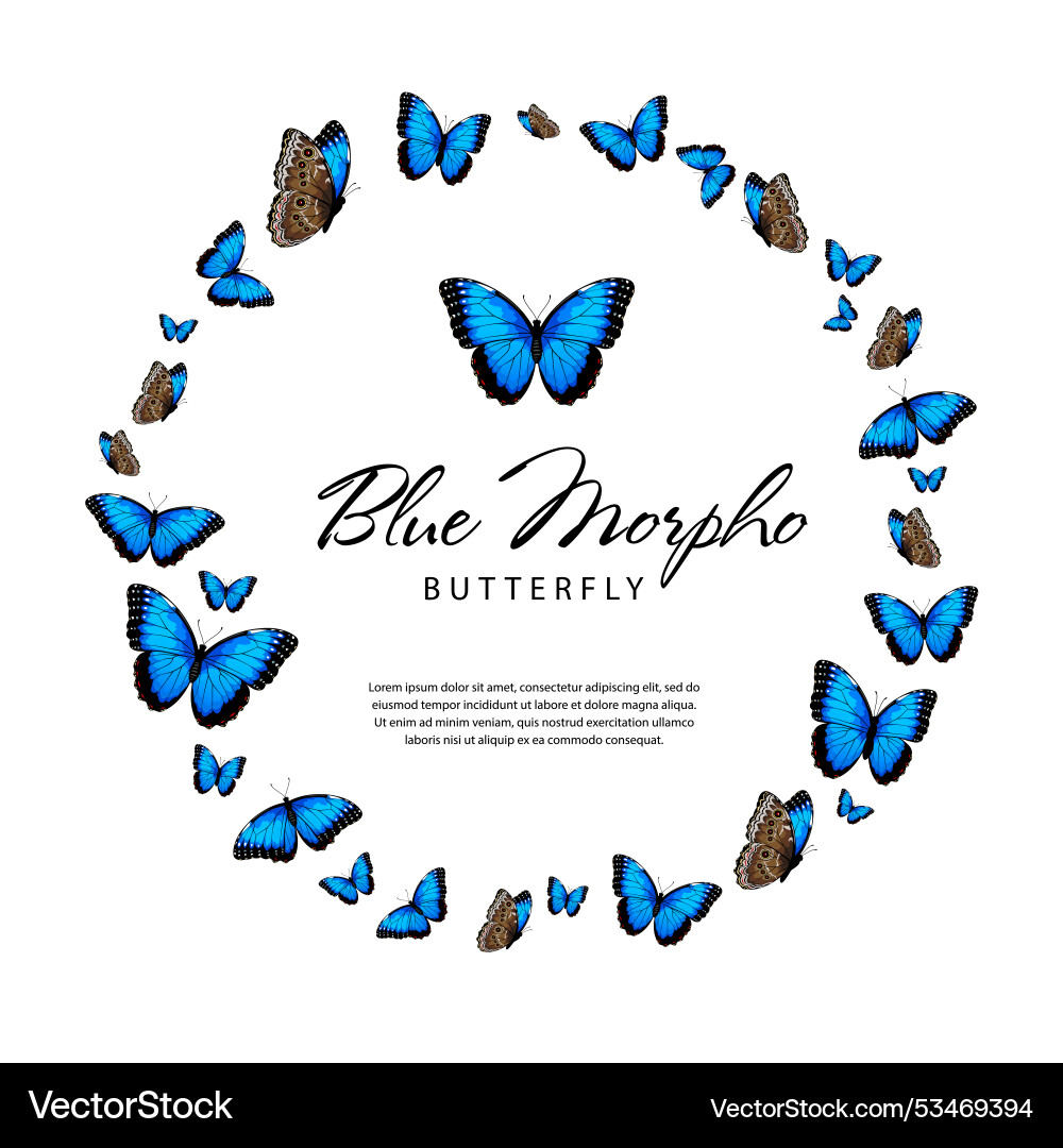 Blue morpho Schmetterlinge in Form eines Kreises Blue morpho Schmetterlinge in Form eines Kreises vektorbild