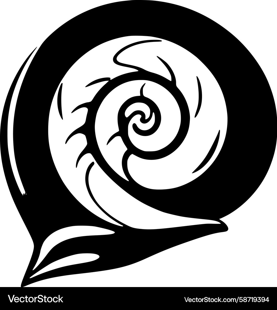 Nautilus shell Vector Image