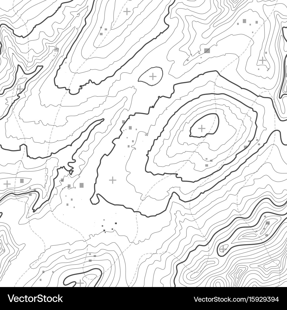 Seamless pattern topographic map background Vector Image