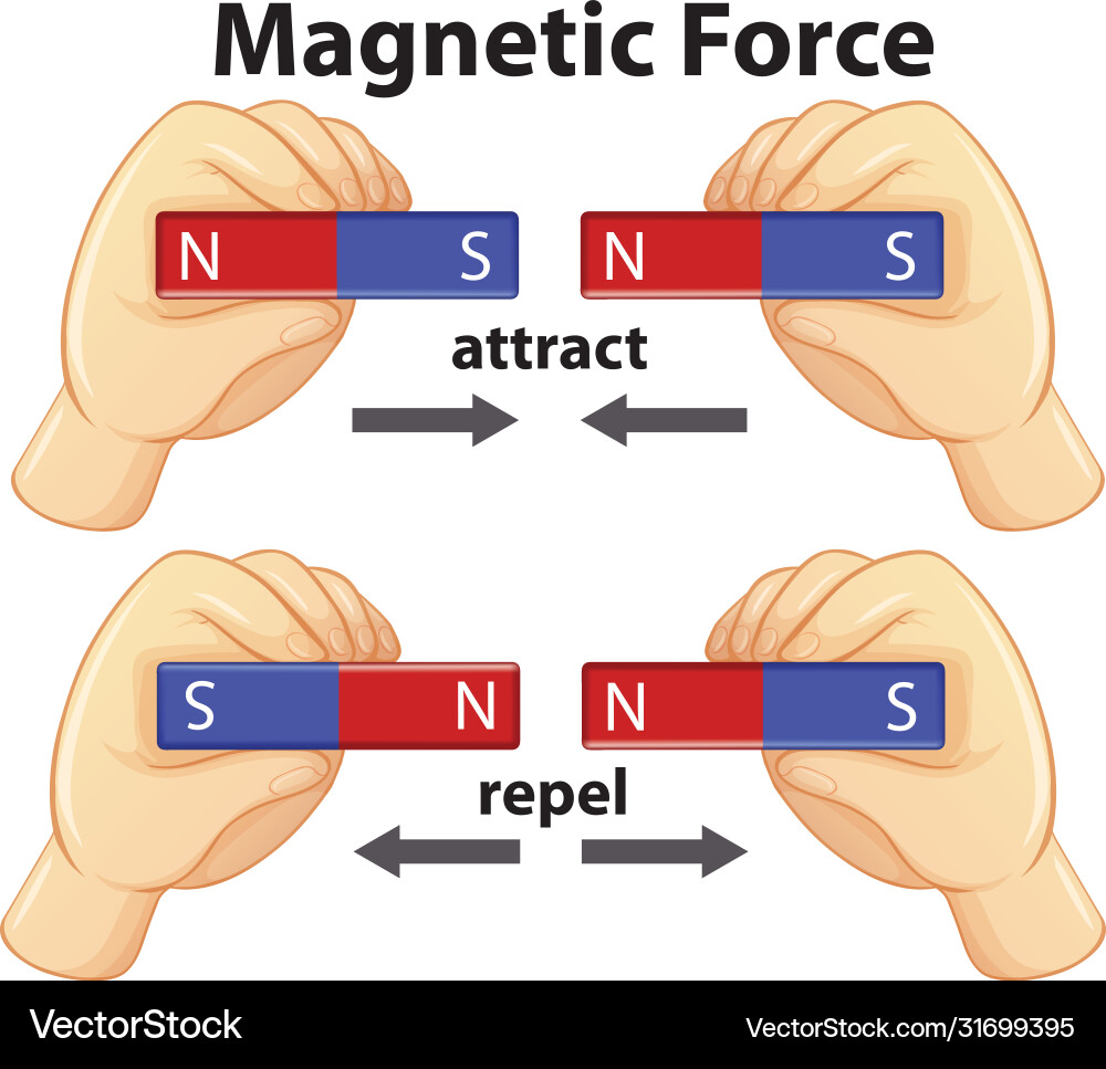 Diagram showing force with attract Vector Image