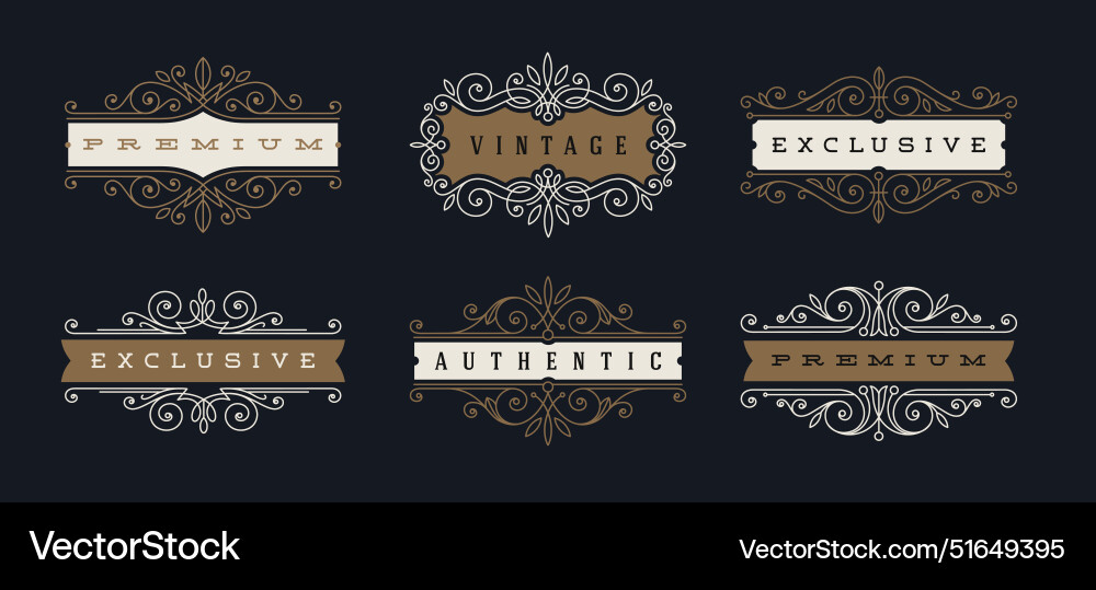 Vintage Flourish Calligraphic Set Vector Image
