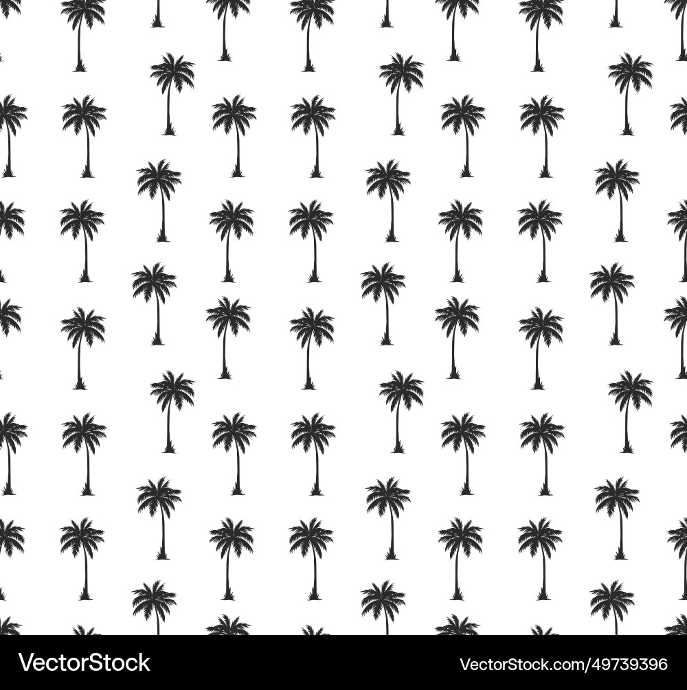 Palm tree seamless pattern on a white background vector image