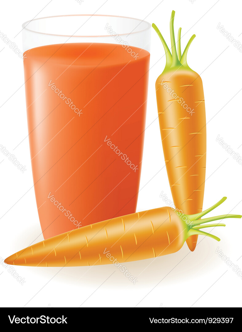 Refreshing Carrot Juice Vector Image