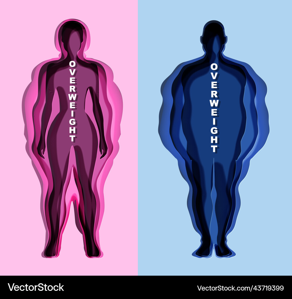 Overweight man woman silhouette paper cut vector image