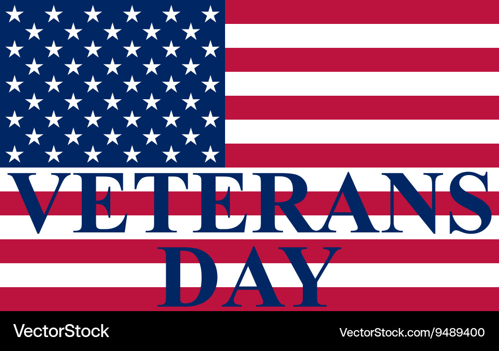 Veterans Day USA Flag Vector Image