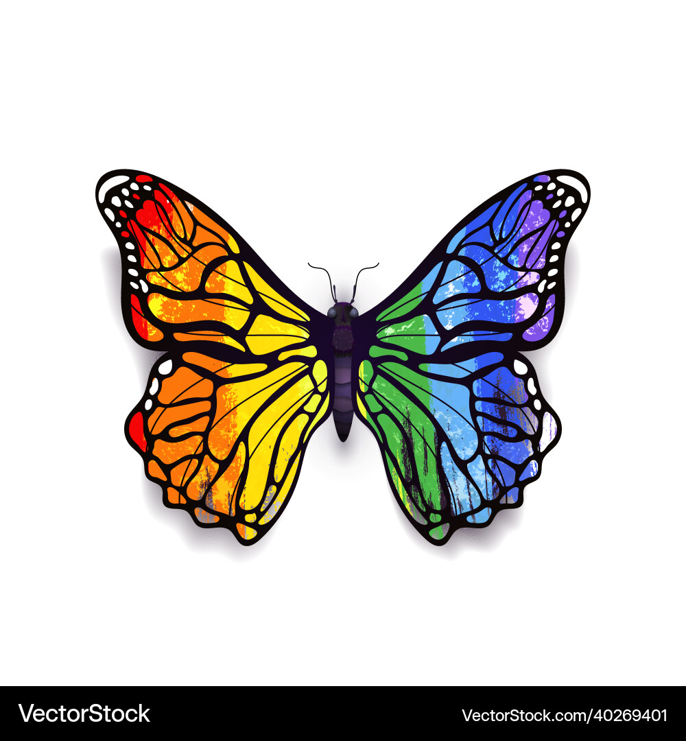 Beautiful detailed realistic magic butterfly Beautiful detailed realistic magic butterfly vector image