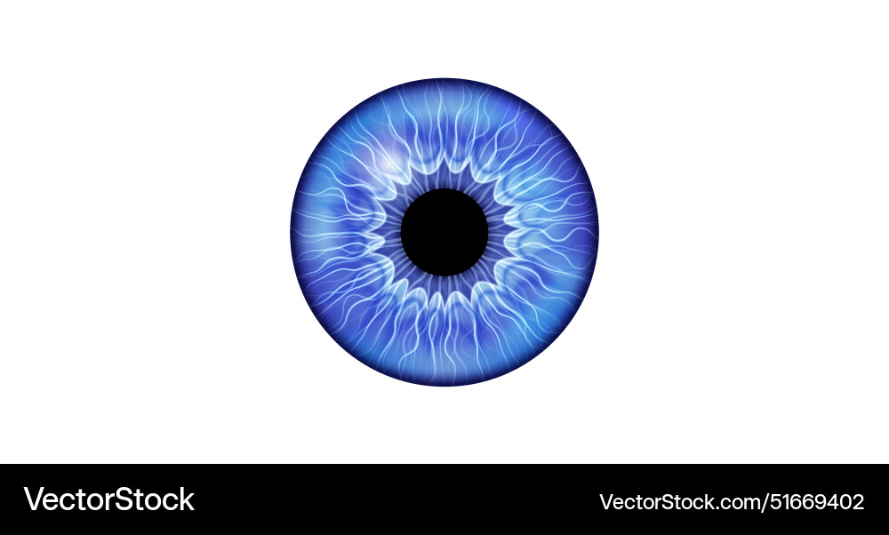 Iris poster Royalty Free Vector Image - VectorStock