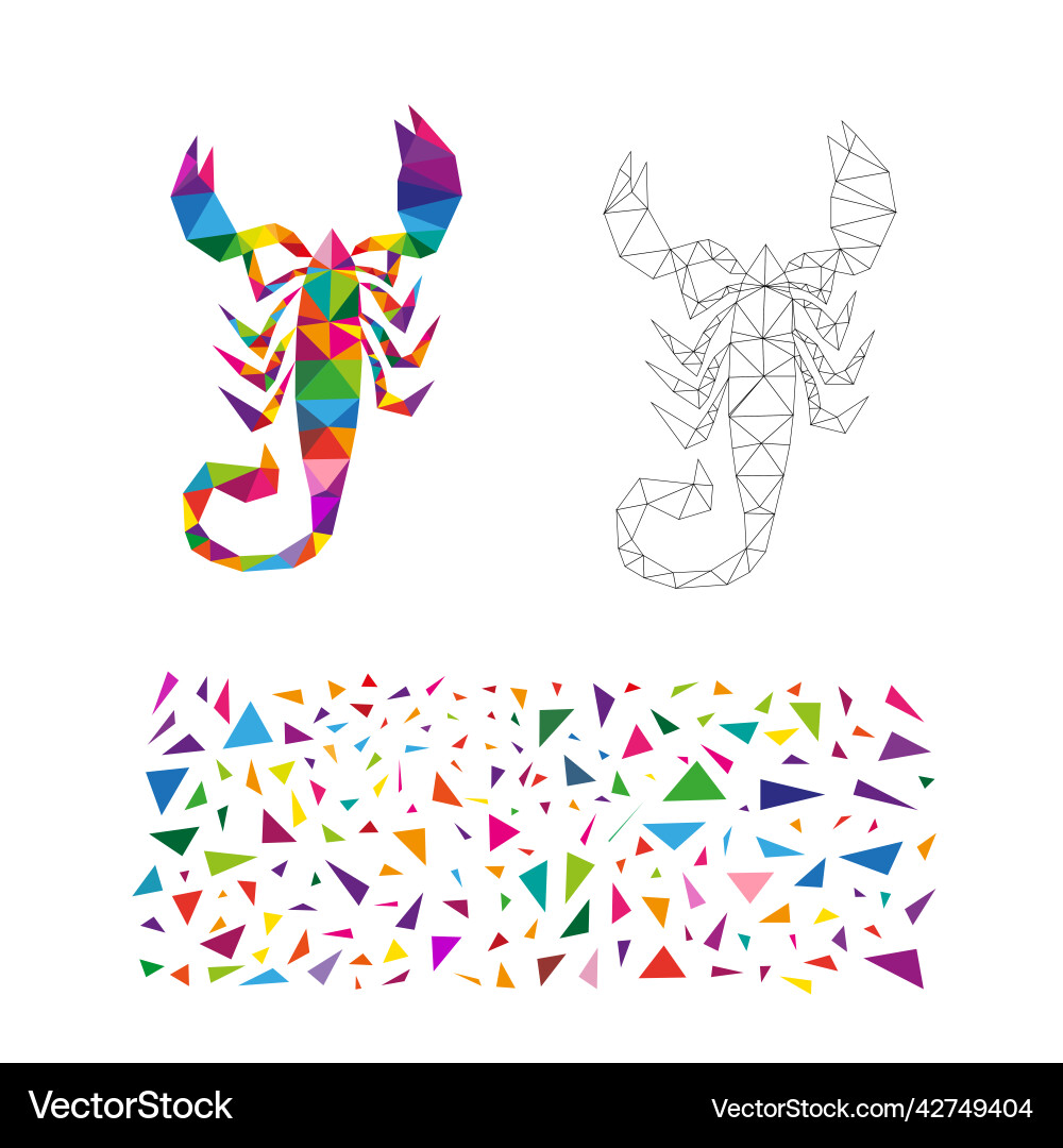 Polygonal puzzle game constructor from triangles Vector Image