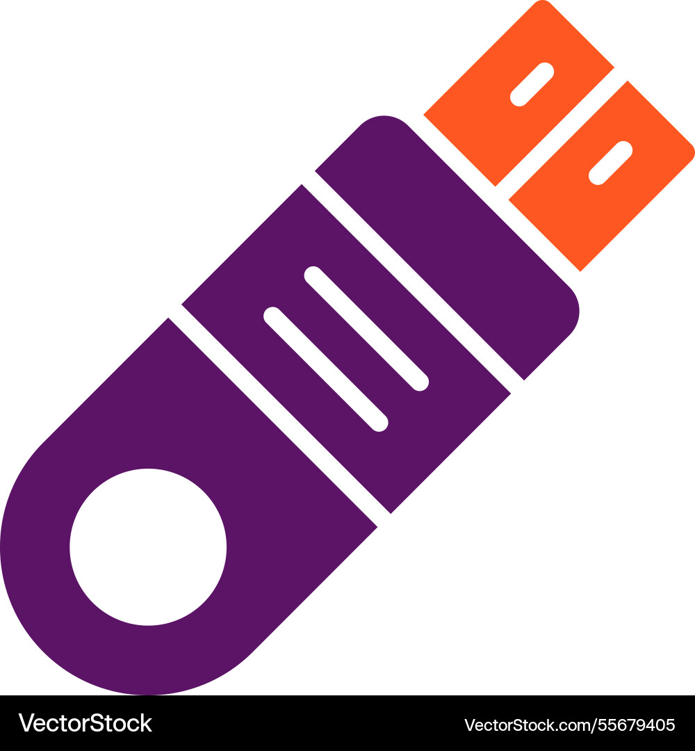 Flash disk icon design Vector Image