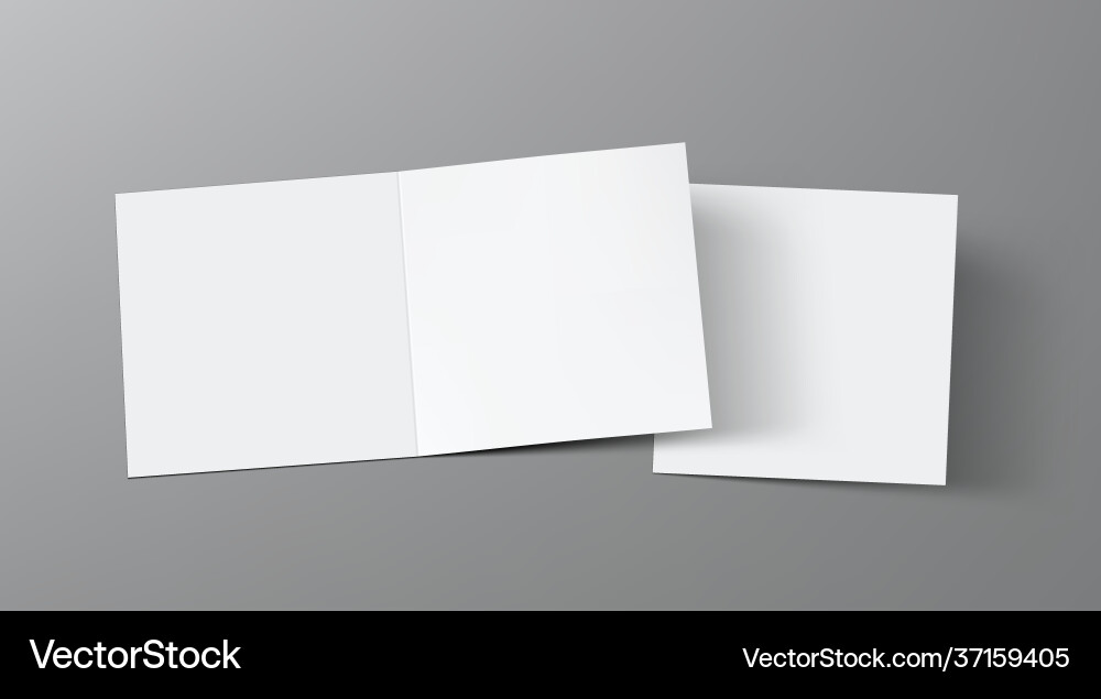Front and back side open halffold paper leaflet vector image