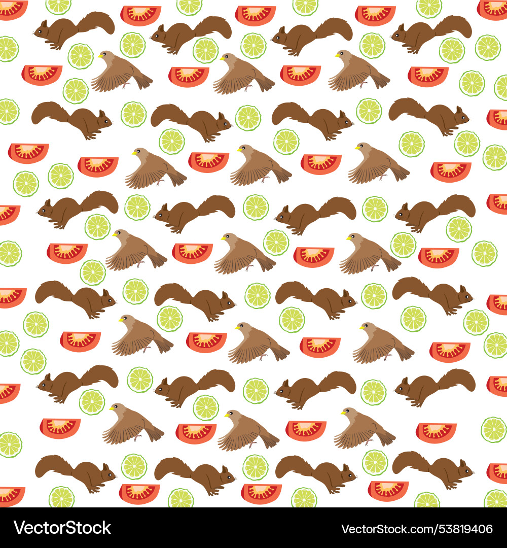 Bird squirrel with fruit as a pattern background Vector Image