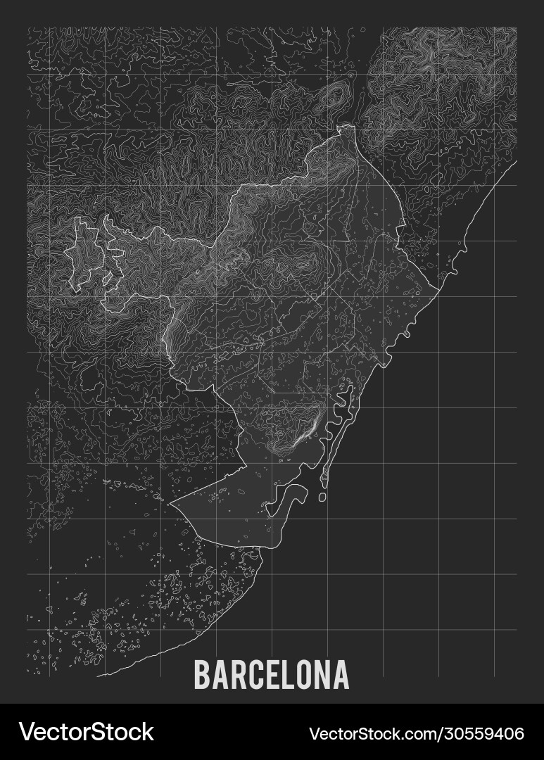 City map barcelona elevation vector image