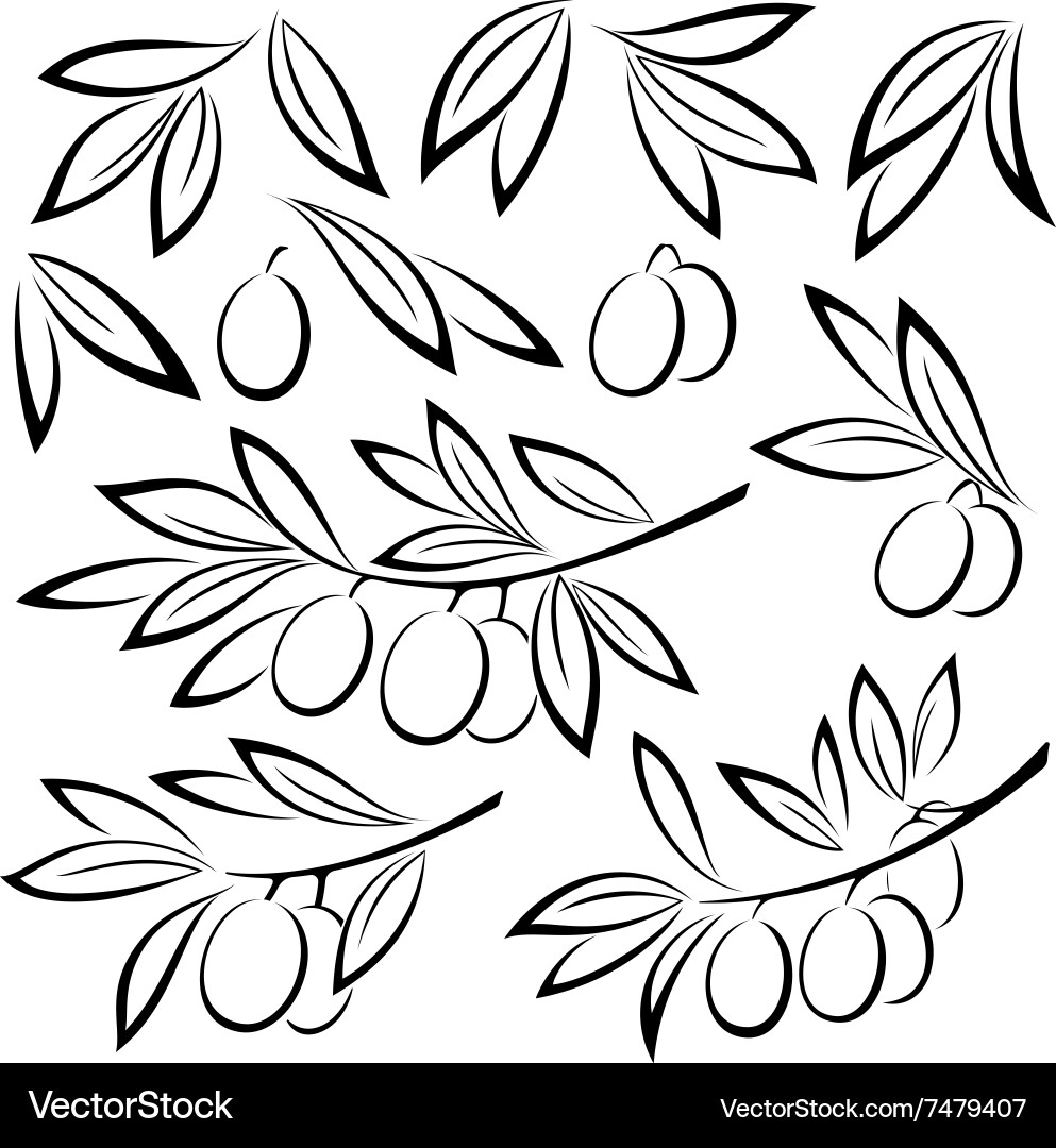 Olive Branches and Berries Royalty Free Vector Image