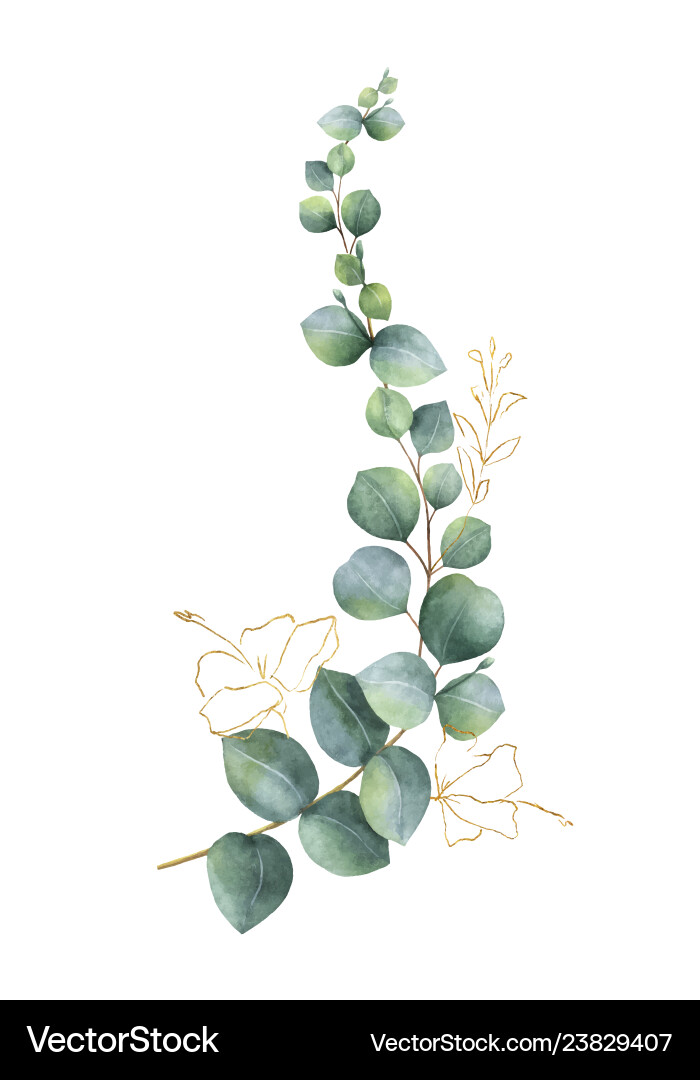 Watercolor Eucalyptus Wreath Vector Image