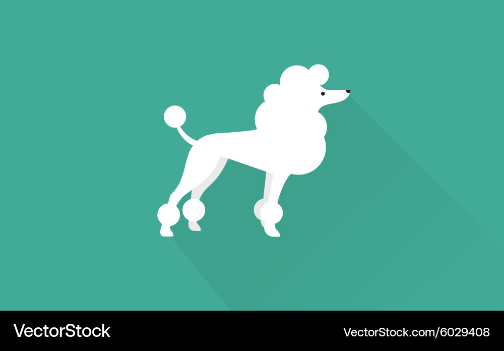 Elegant Poodle Icon Vector Image