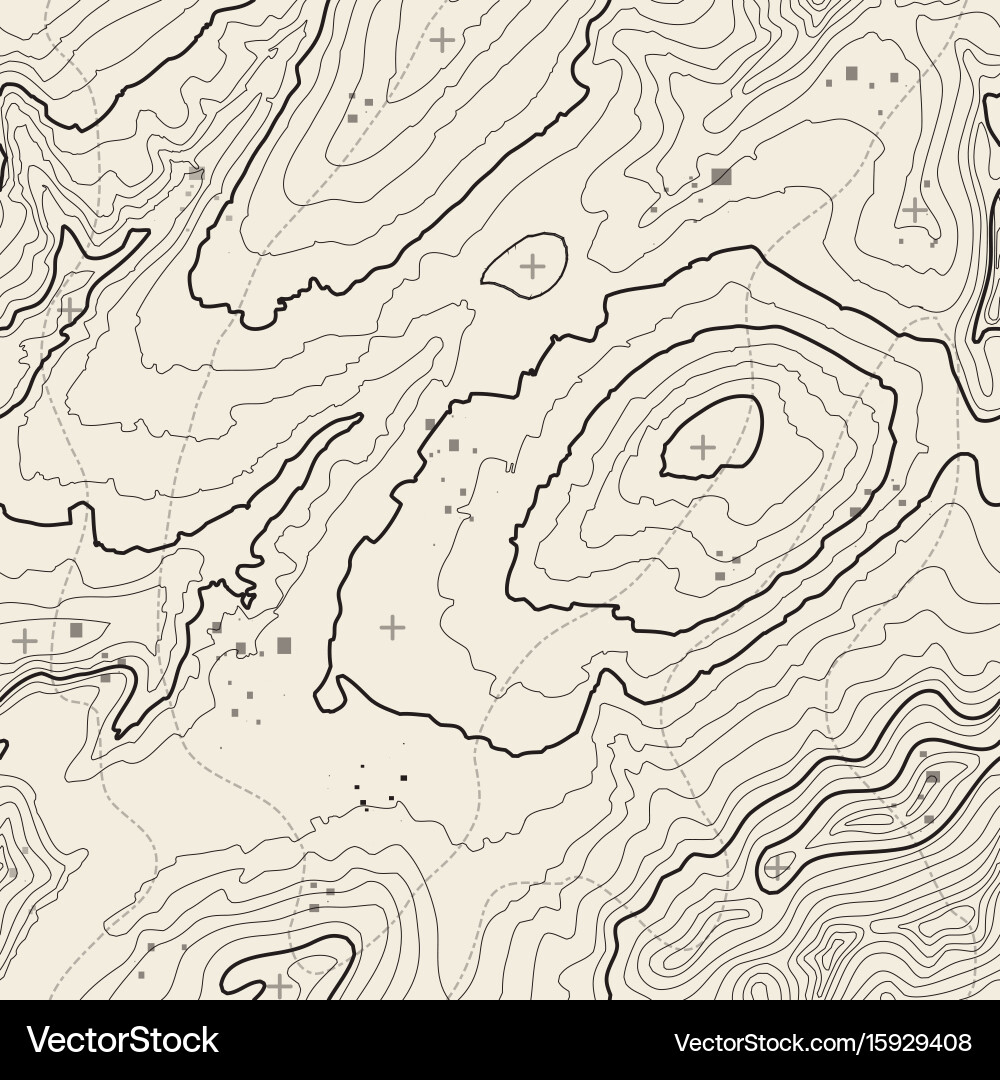 Topographic Map Seamless Pattern vector image