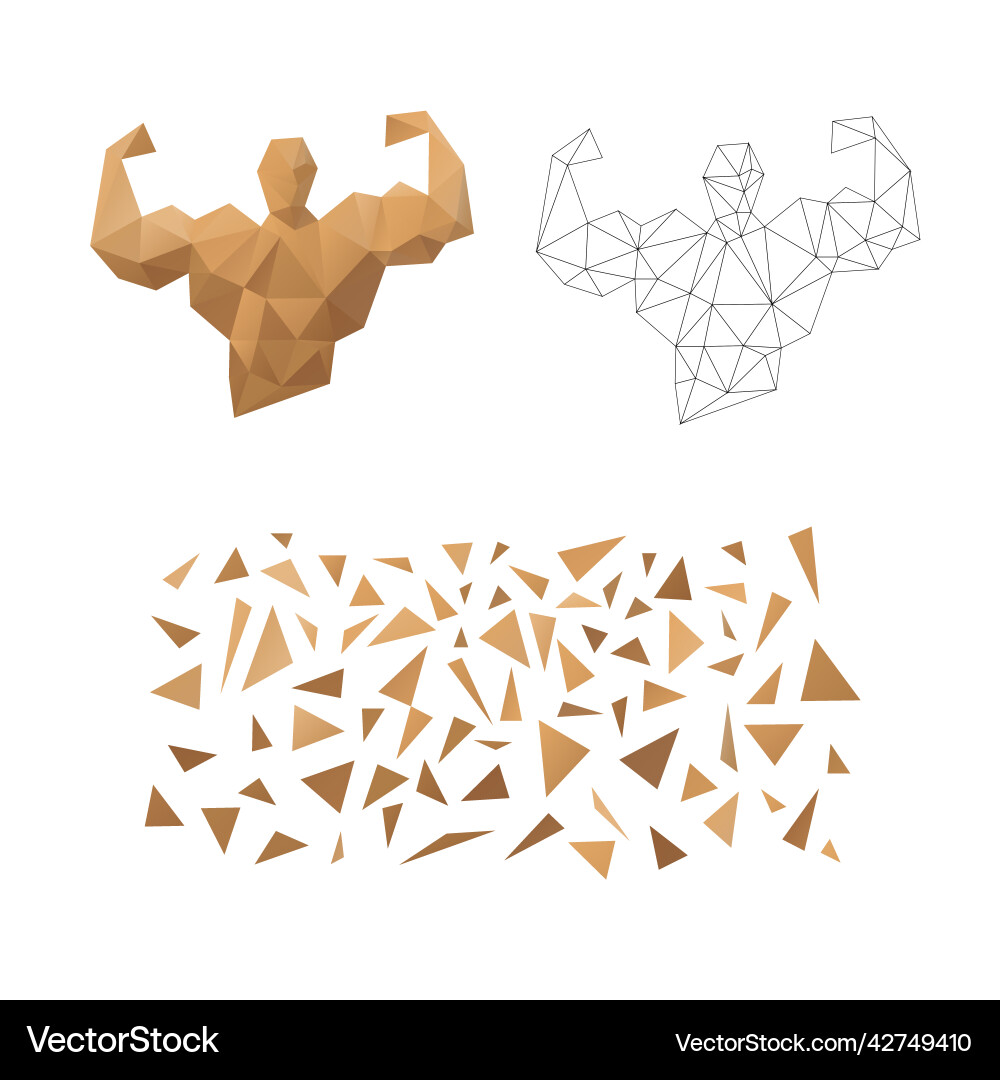 Polygonal puzzle game constructor from triangles Polygonal puzzle game constructor from triangles Vector Image