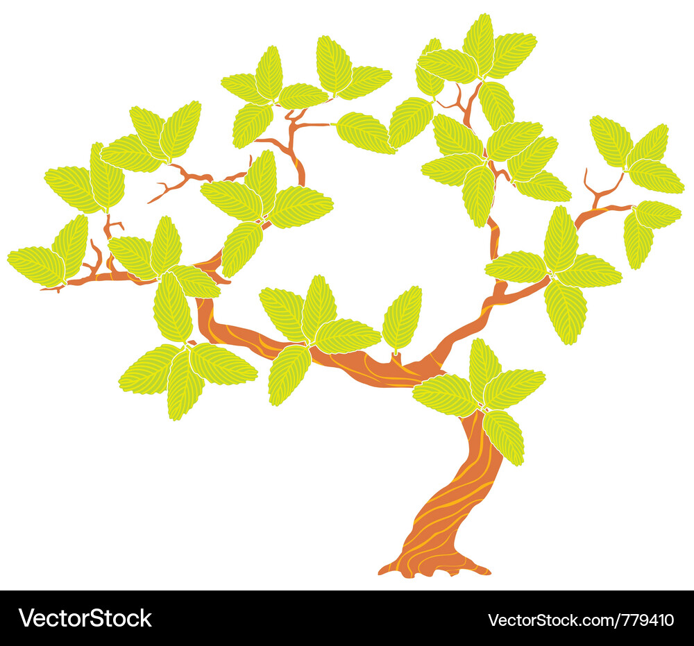 Spring tree Vector Image