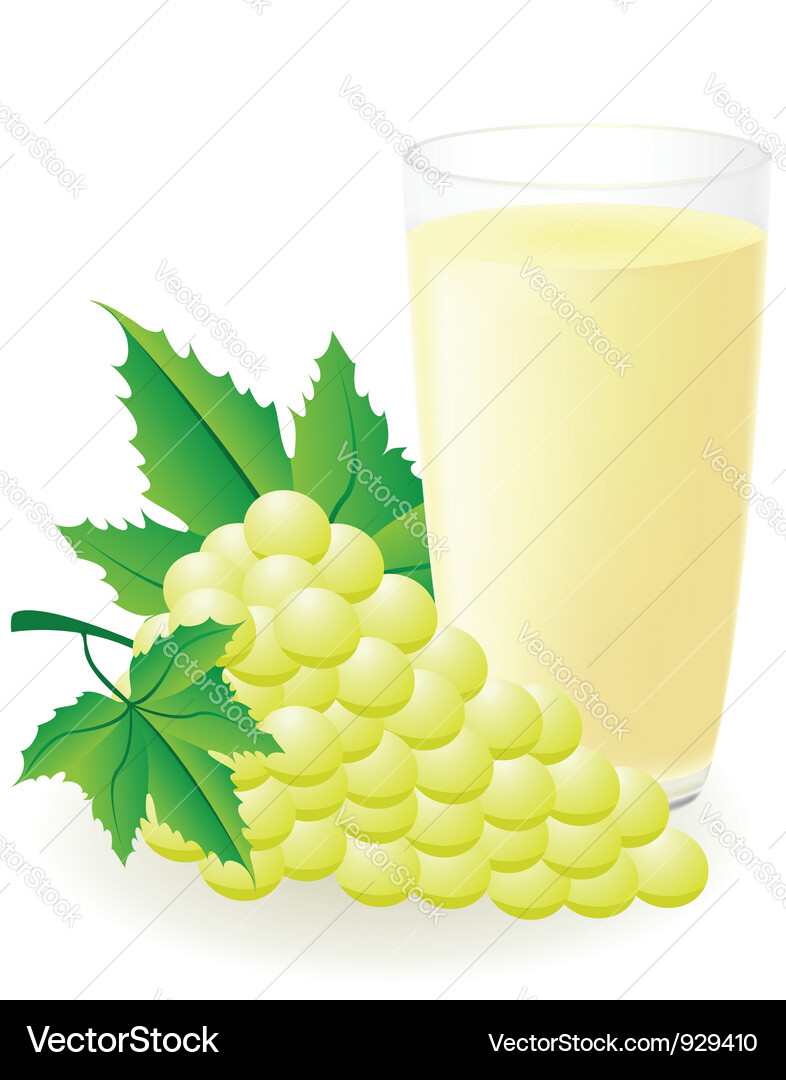 White Grape Juice Vector Image