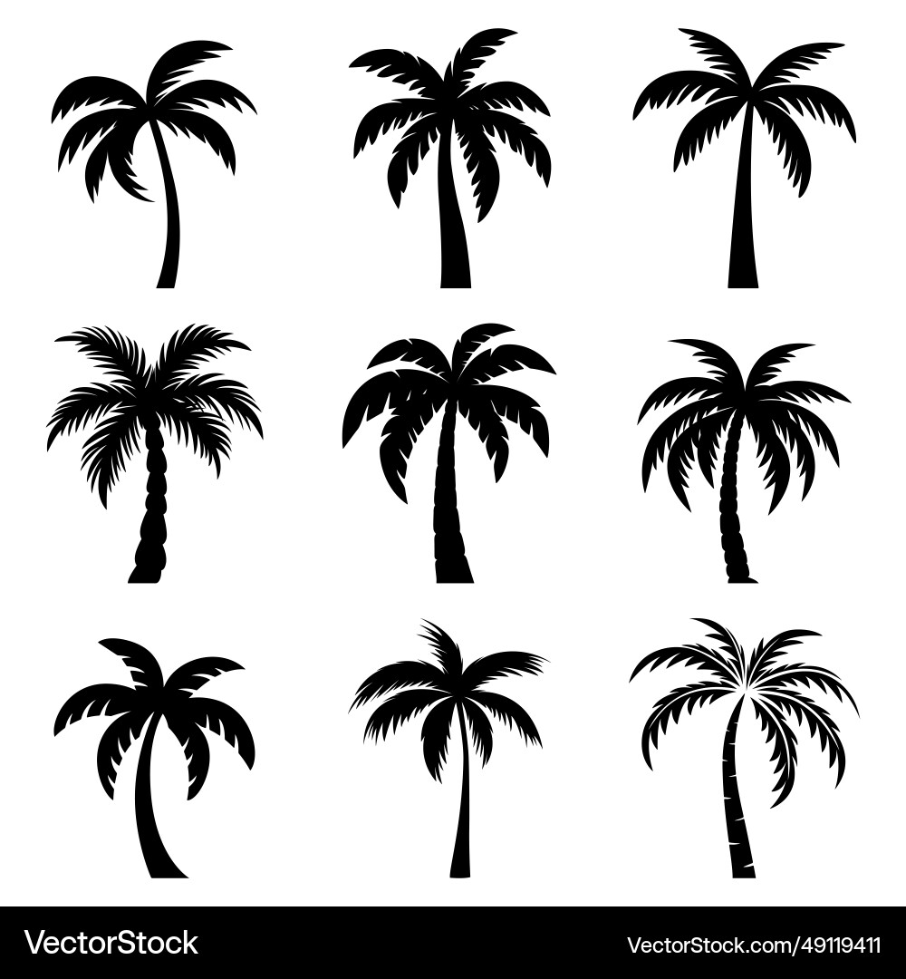 Black and White Palm Tree Icons Vector Image