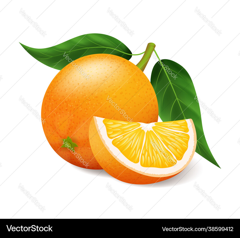 Realistic bright yellow orange with green leaf Realistic bright yellow orange with green leaf Vector Image